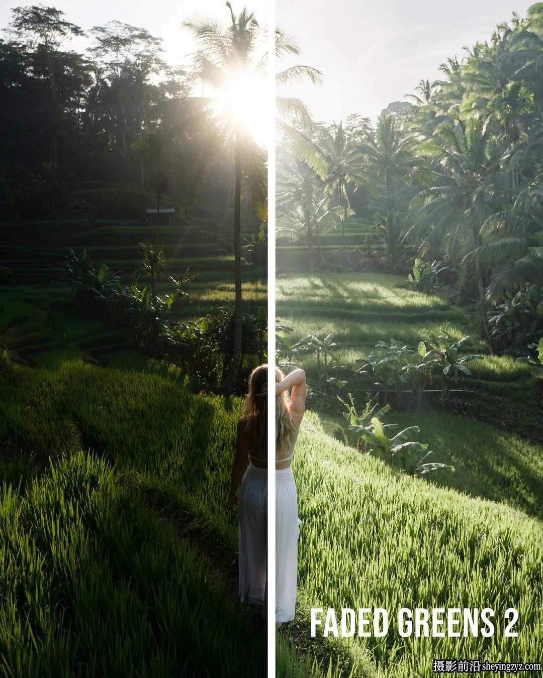摄影师Jaxon Roberts电影风光LR预设ACR预设 Paradise Preset Pack