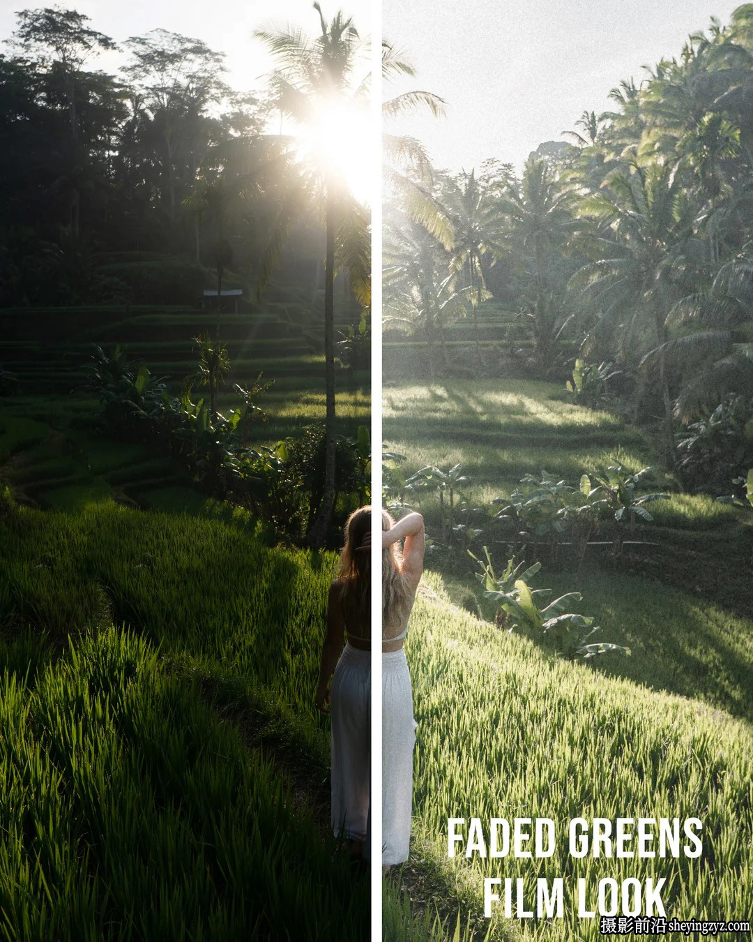 摄影师Jaxon Roberts电影风光LR预设ACR预设 Paradise Preset Pack