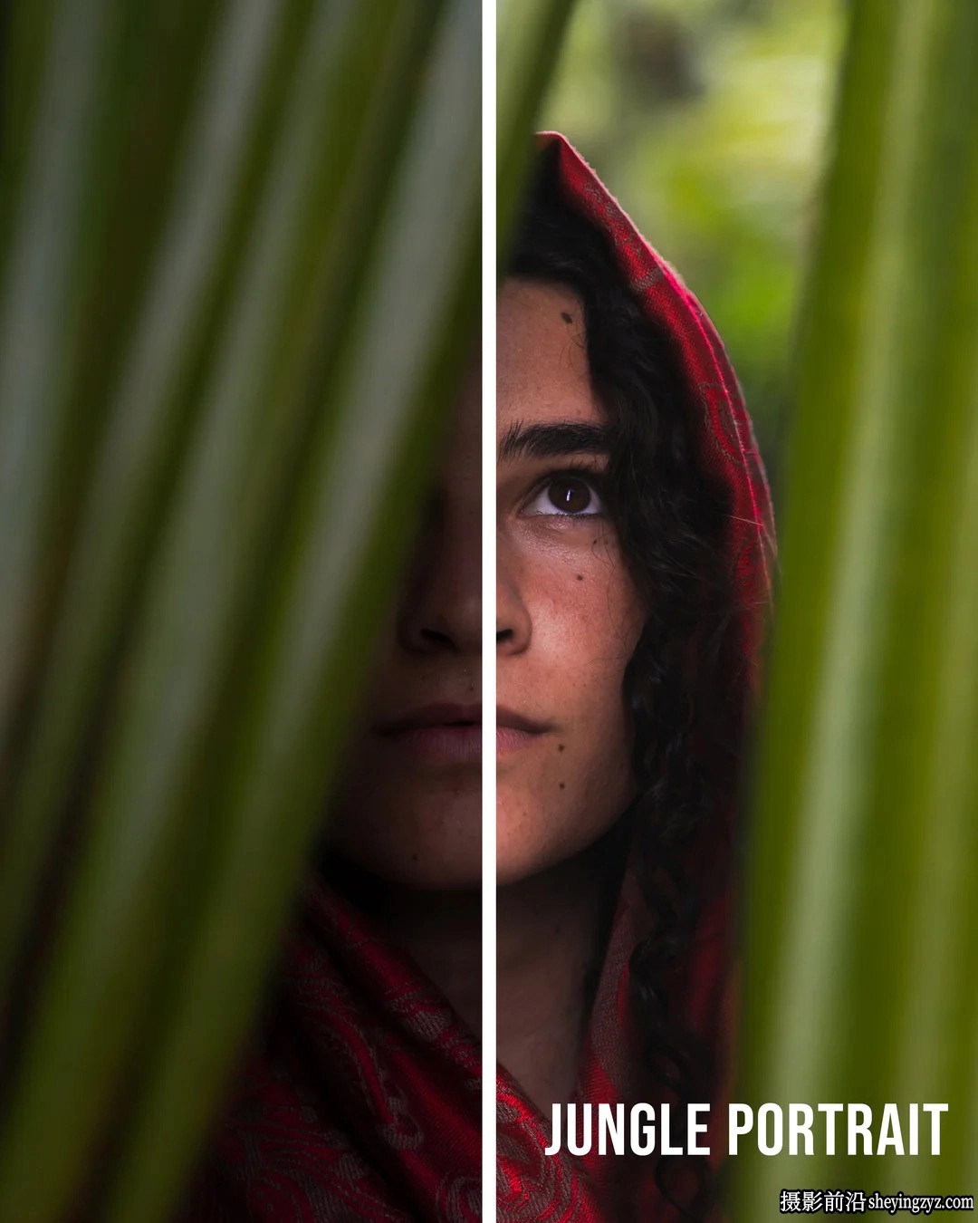摄影师Jaxon Roberts电影风光LR预设ACR预设 Paradise Preset Pack