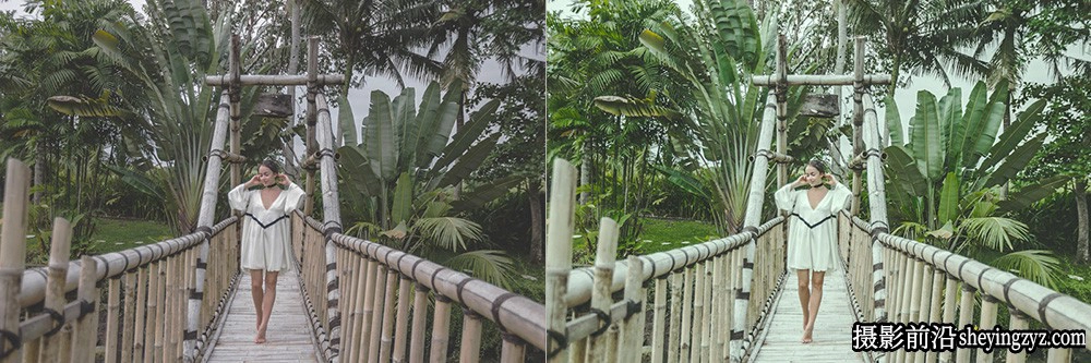 网红风格人像清新绿色调LR预设ACR调色预设 OnPresets -CACTUS
