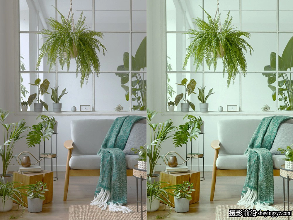 网红风格人像清新绿色调LR预设ACR调色预设 OnPresets -CACTUS