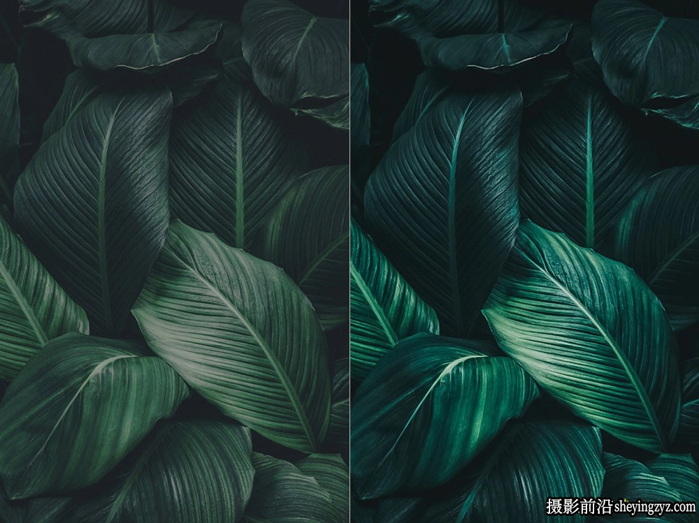 热带旅拍电影胶片色调LR预设ACR预设 OnPresets-Tropical Forest