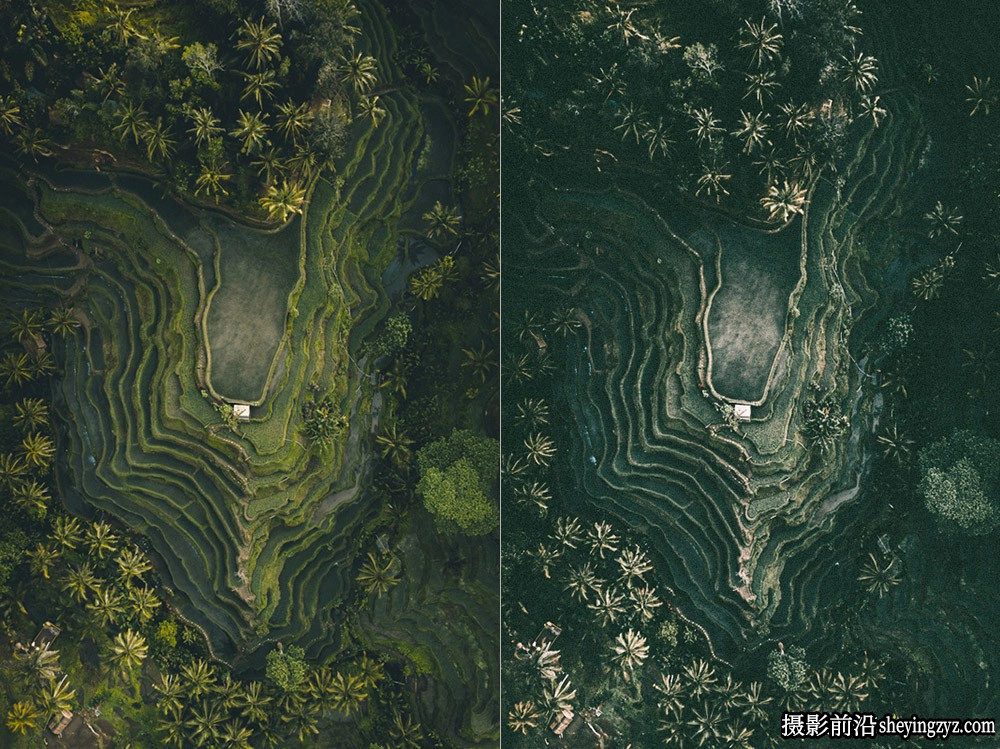 热带旅拍电影胶片色调LR预设ACR预设 OnPresets-Tropical Forest