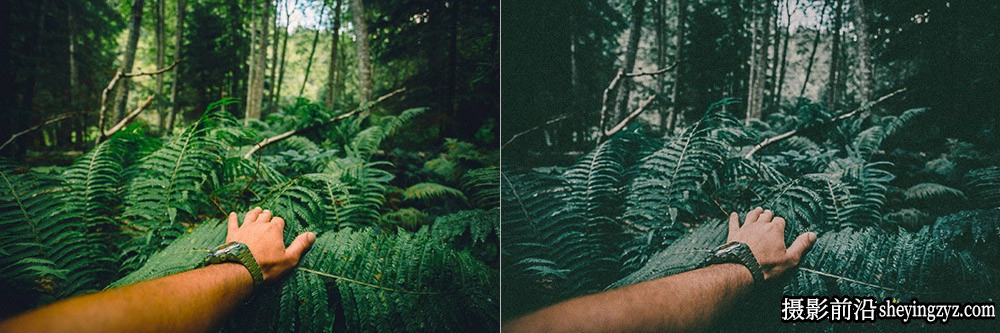 热带旅拍电影胶片色调LR预设ACR预设 OnPresets-Tropical Forest