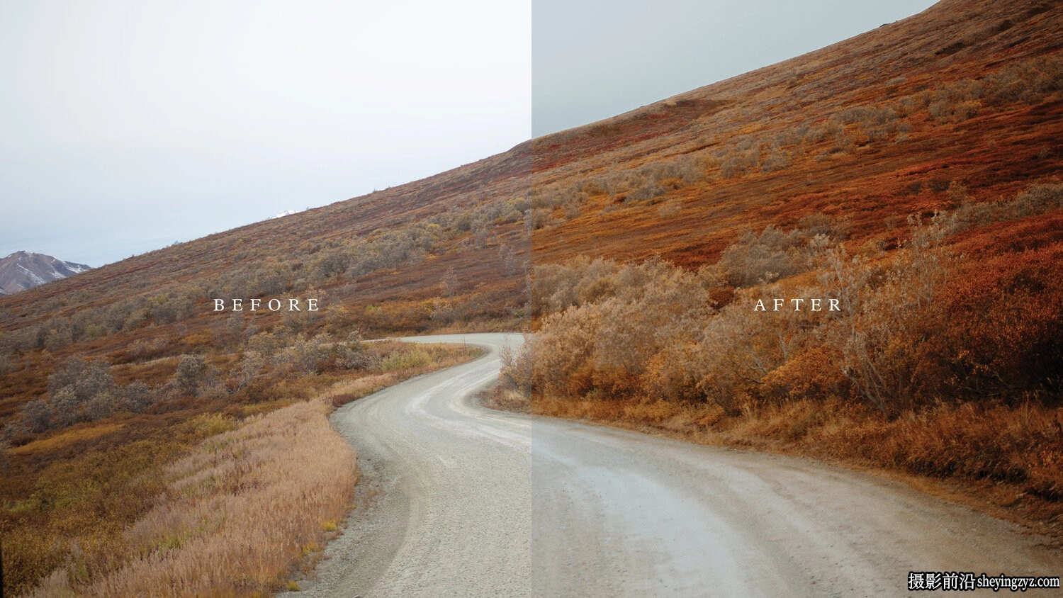 旅拍森系风光LR预设ACR预设 Chris Henry - Forest Foliage Presets