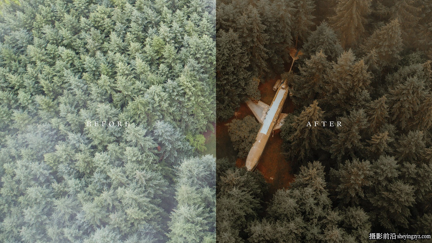 旅拍森系风光LR预设ACR预设 Chris Henry - Forest Foliage Presets