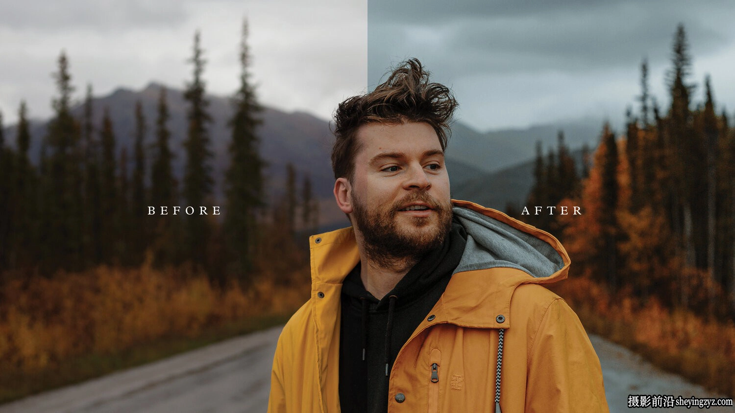 旅拍森系风光LR预设ACR预设 Chris Henry - Forest Foliage Presets
