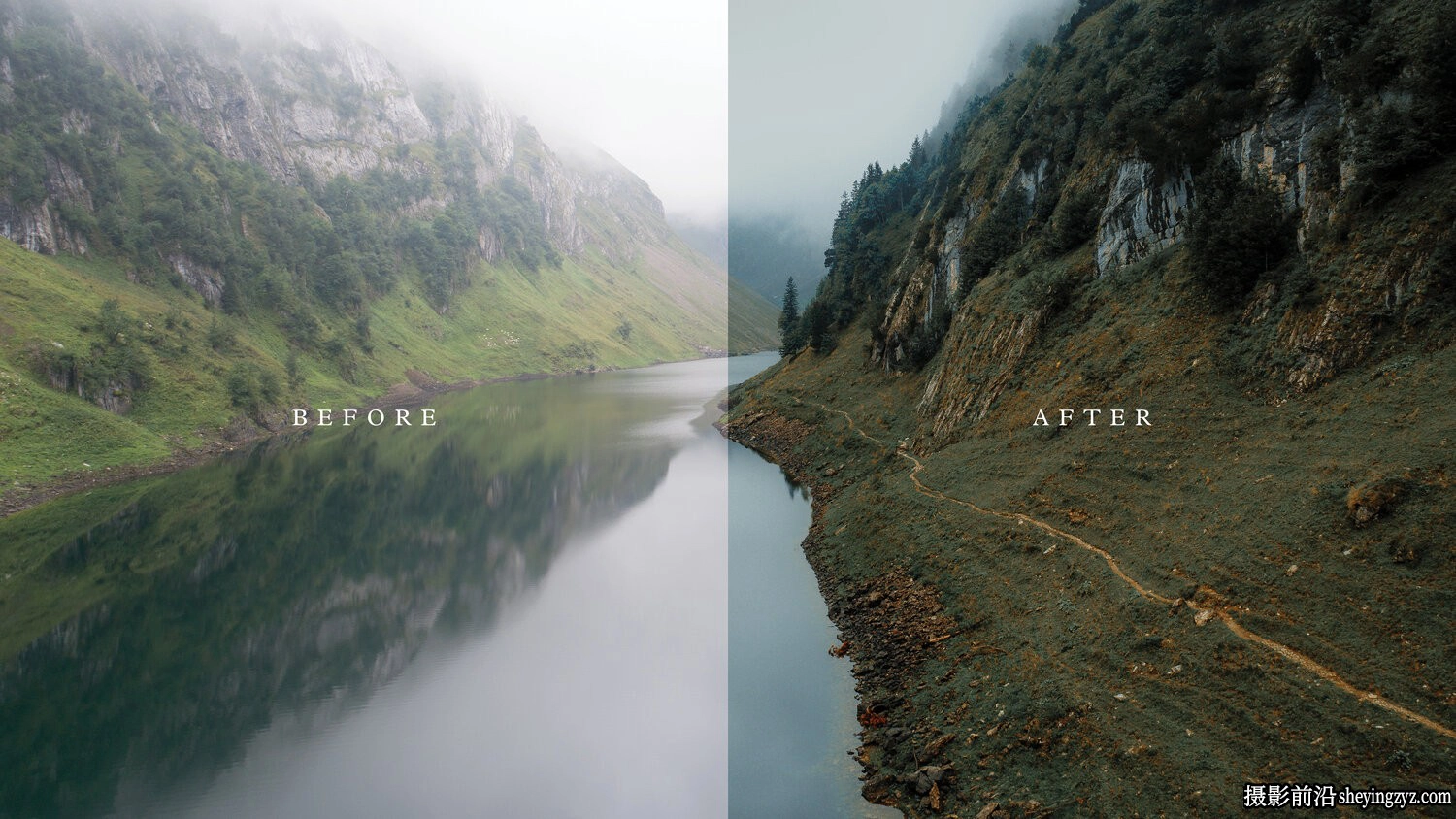 旅拍森系风光LR预设ACR预设 Chris Henry - Forest Foliage Presets