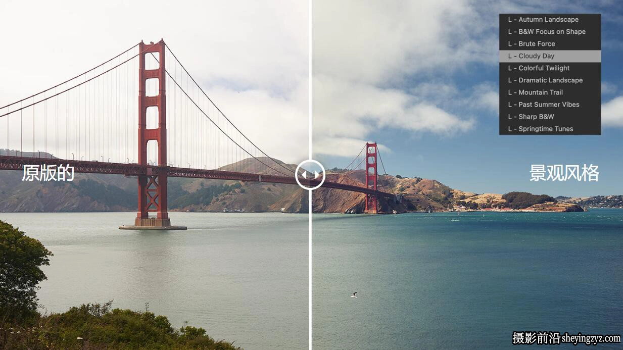 专业颜色评级Capture One预设 Alex on Raw - Pro Color Grading Styles