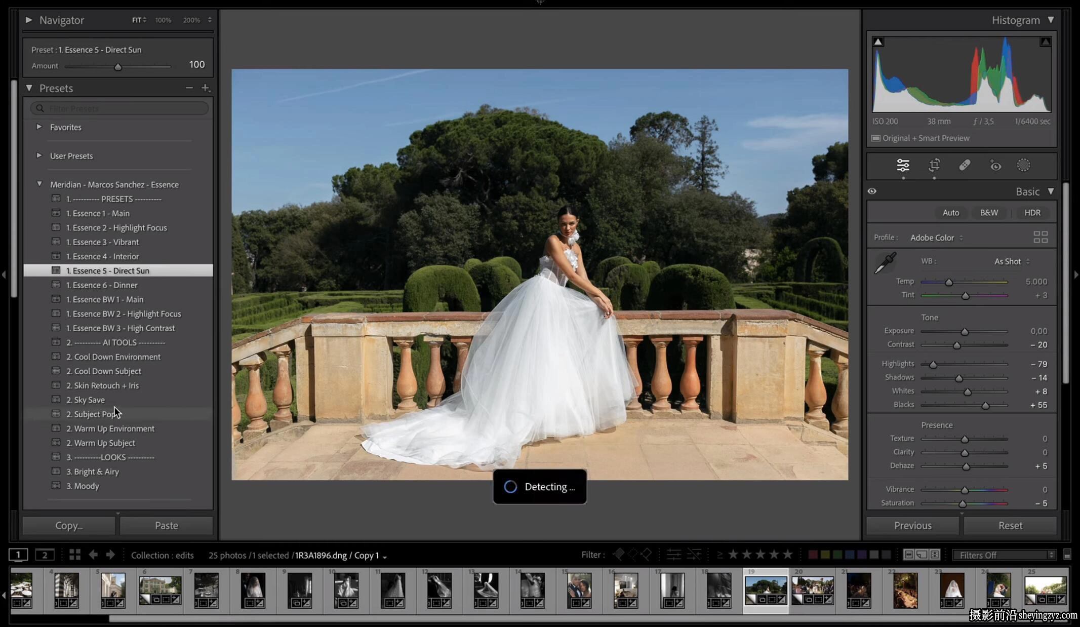 AI智能婚礼调色LR预设Meridian-Essence Editorial Wedding Presets
