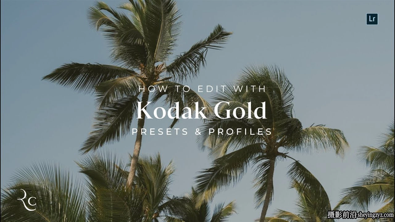 金色柯达经典胶片LR预设 REFINED - Kodak Gold Lightroom Presets