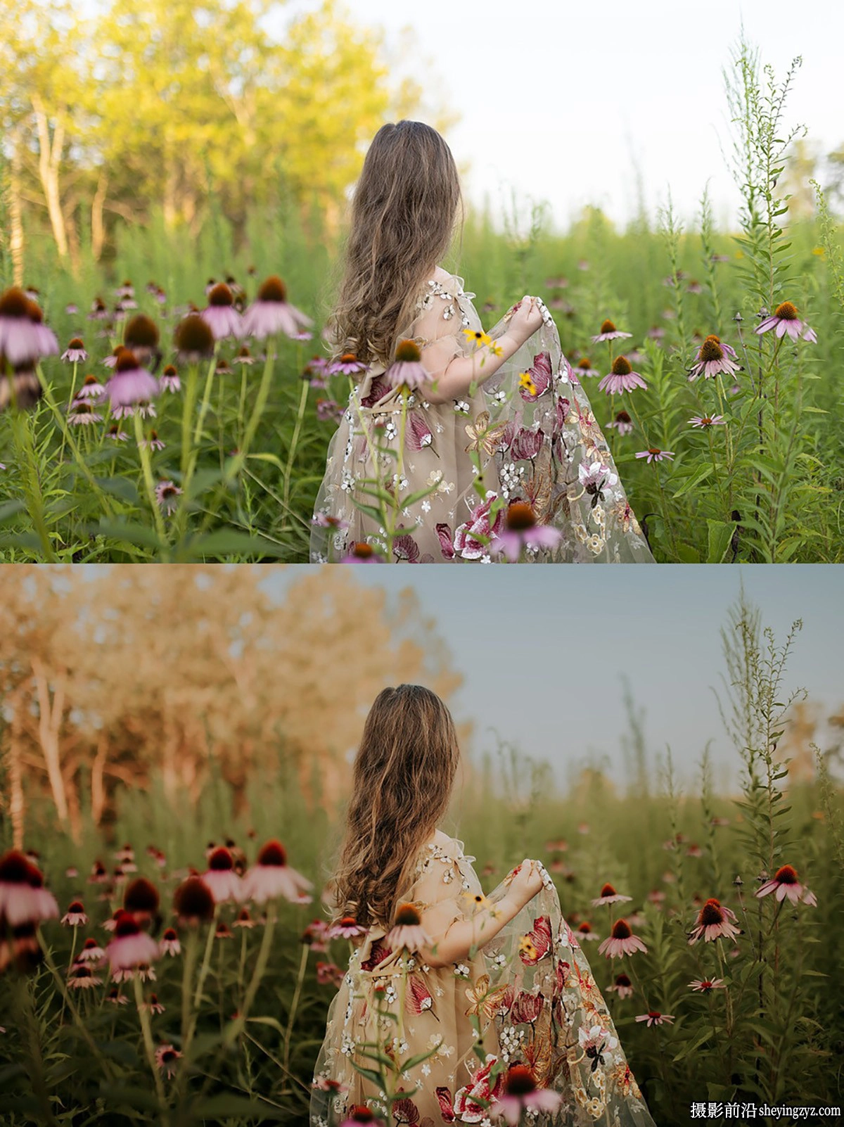 AI自适应柔和电影胶片LR预设Lemon And Lace Presets-AI Lemon Twist