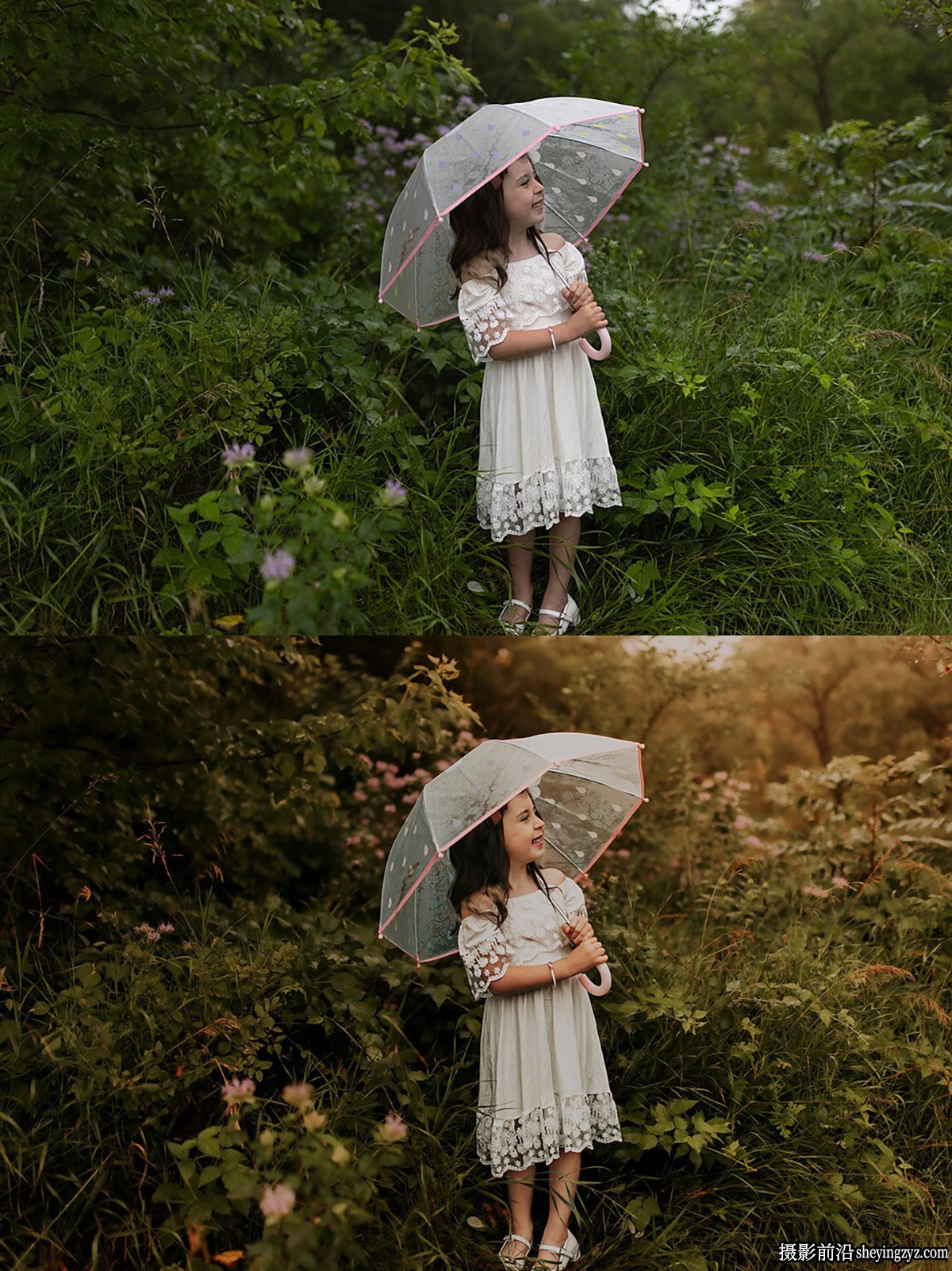 AI自适应柔和电影胶片LR预设Lemon And Lace Presets-AI Lemon Twist