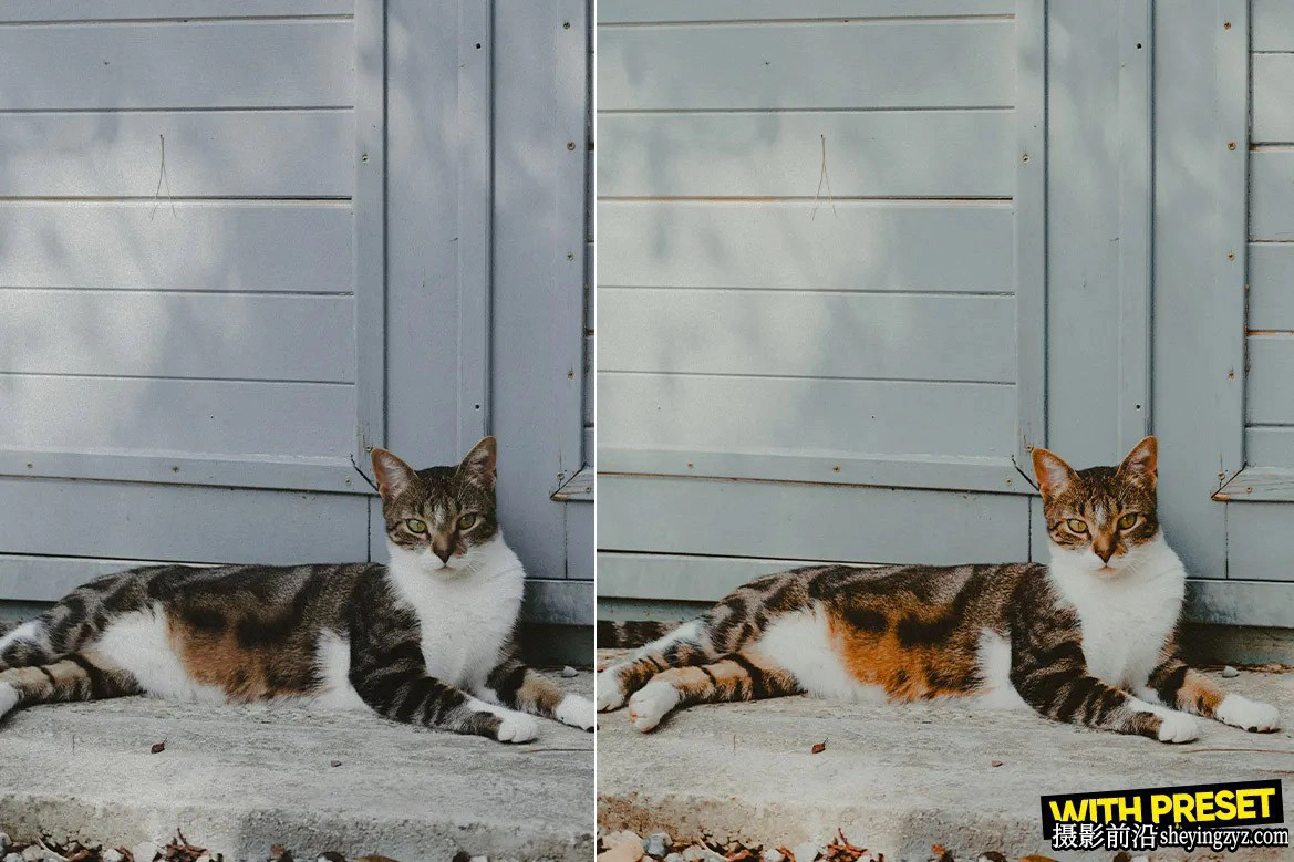 复古电影胶片感Lightroom预设ACR预设 ARTA - Raw Layer Presets