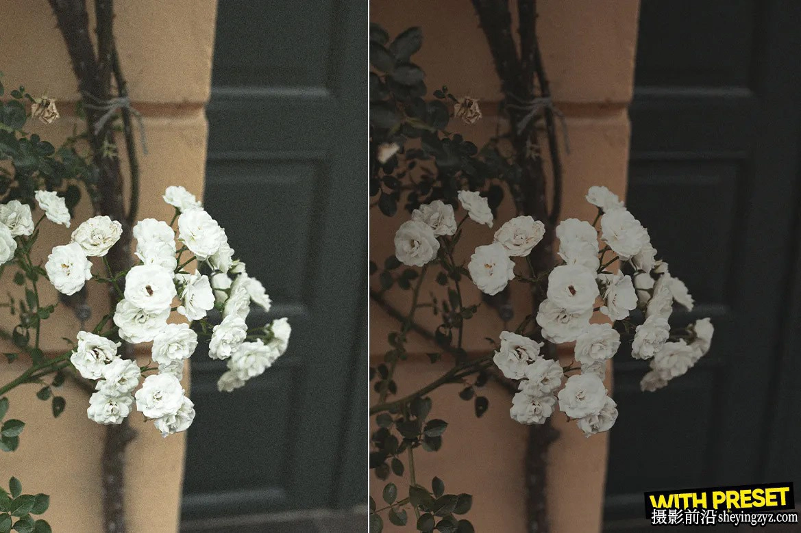 复古电影胶片感Lightroom预设ACR预设 ARTA - Raw Layer Presets