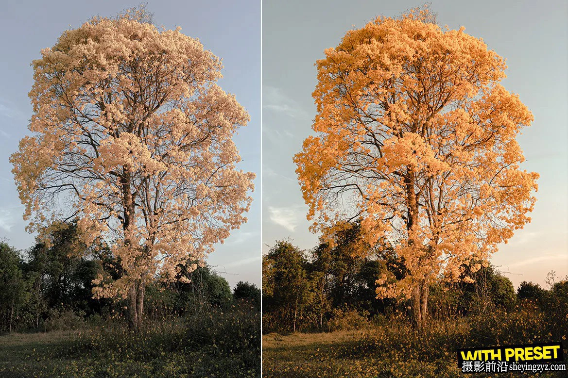 复古电影胶片感Lightroom预设ACR预设 ARTA - Raw Layer Presets