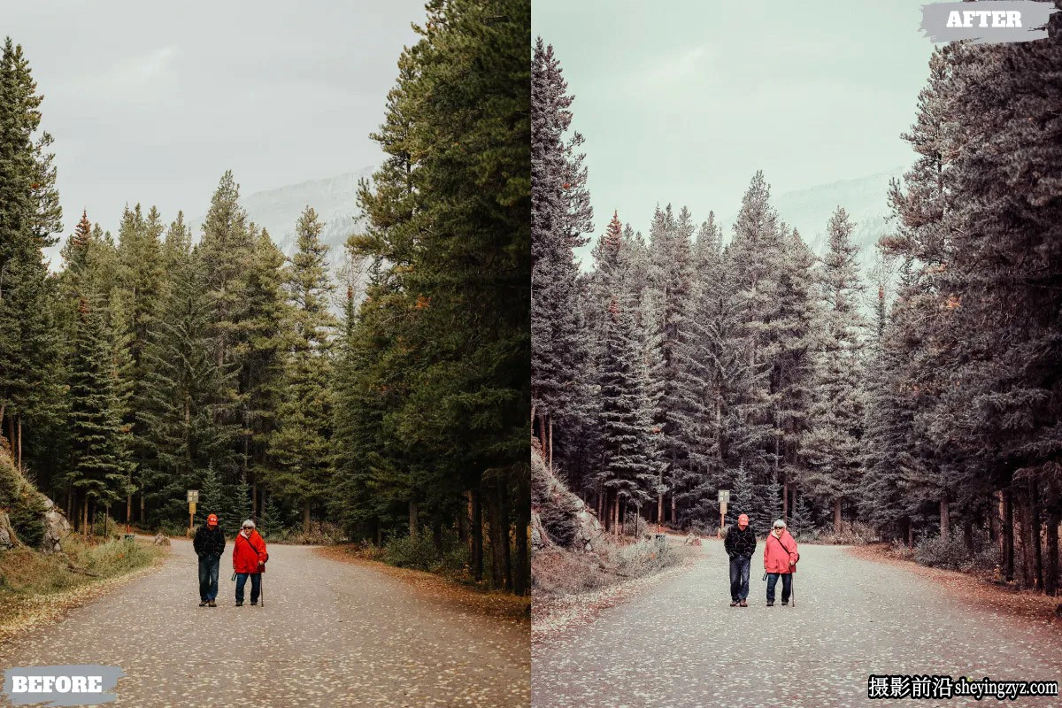 户外胶片人像Lightroom预设ACR预设 Potrait Lightroom Presets