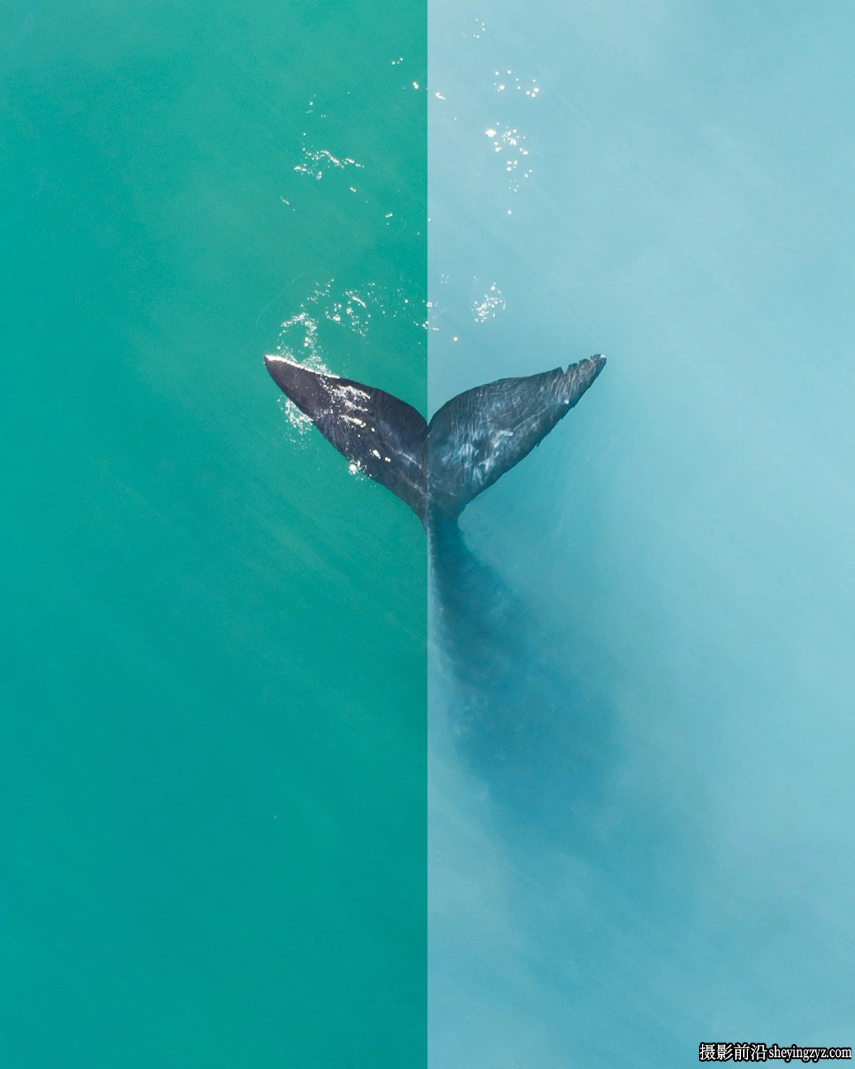 沿海布鲁斯Lightroom预设 Jaxon Roberts - Coastal Blues II Preset