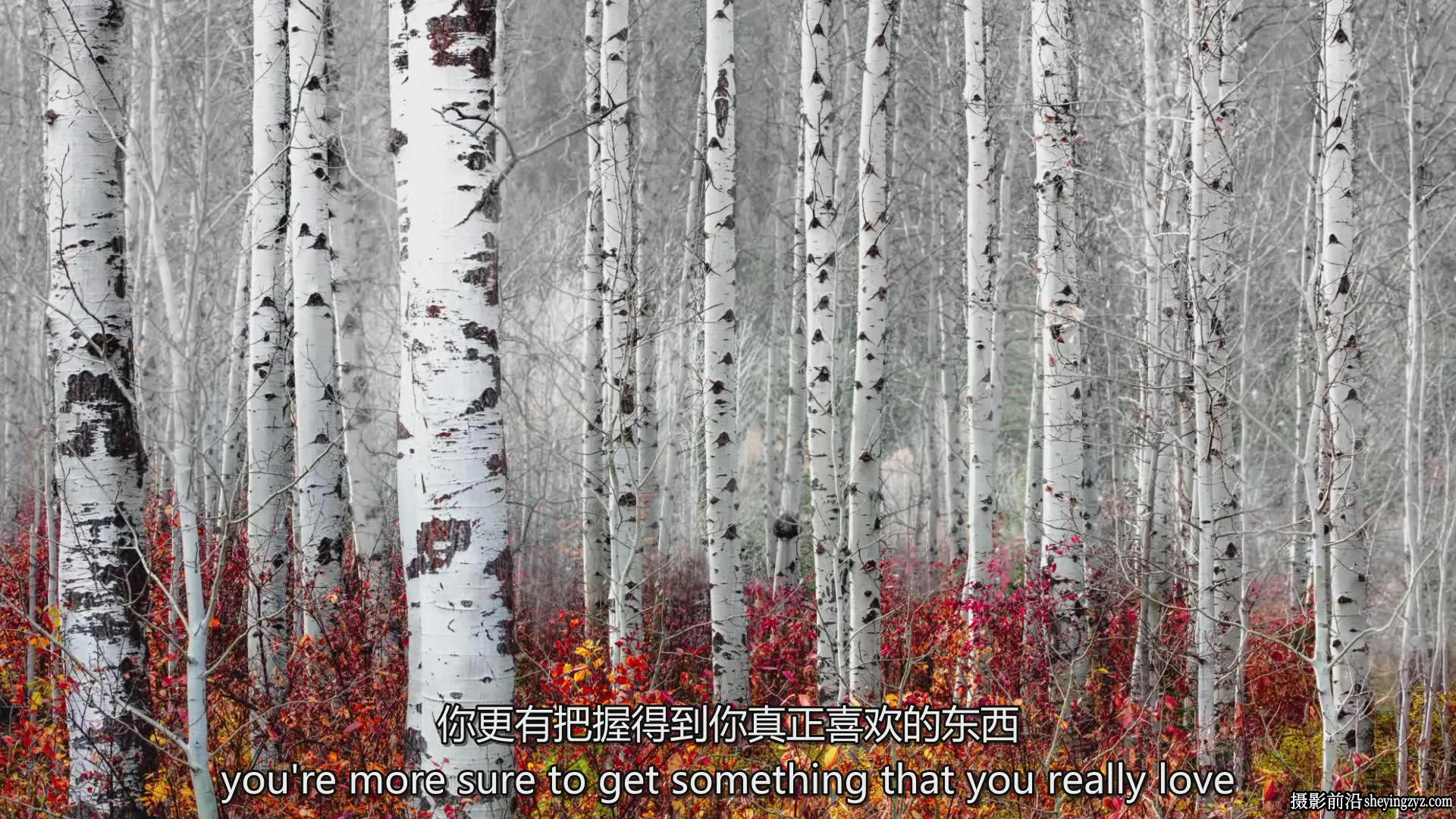 风光摄影师Tim Shields在风光摄影中完美构图的秘密教程-中英字幕
