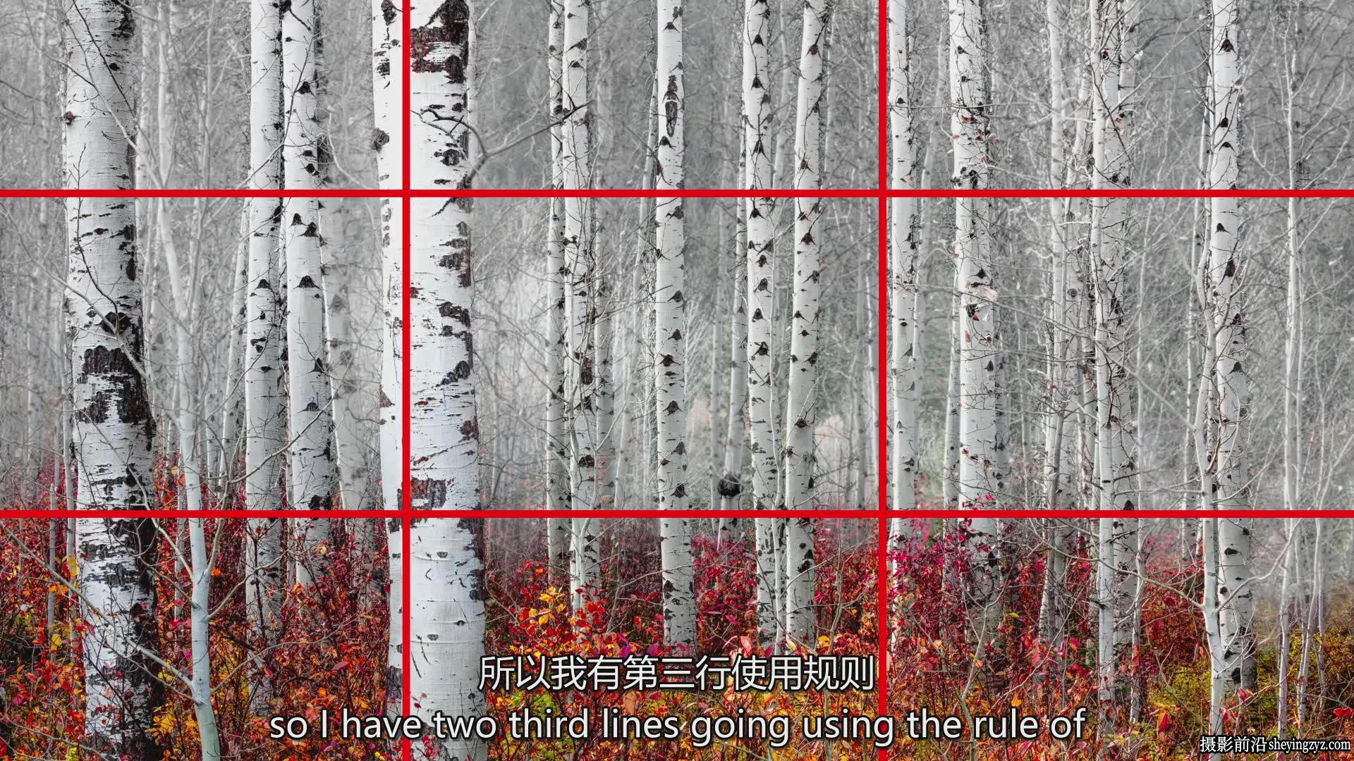 风光摄影师Tim Shields在风光摄影中完美构图的秘密教程-中英字幕