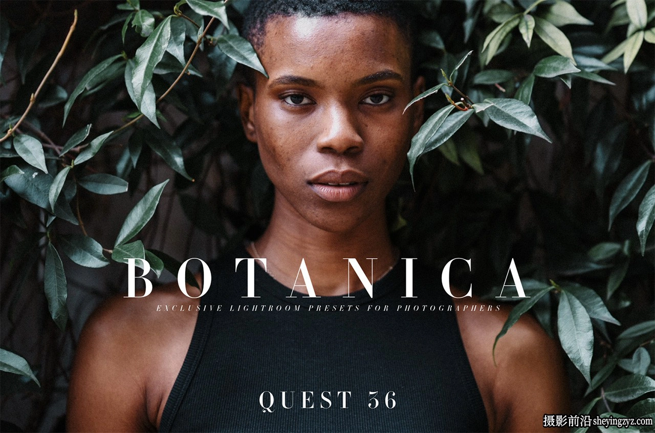 Archipelago Quest系列36充满活力的胶片预设-QUEST 36 - BOTANICA