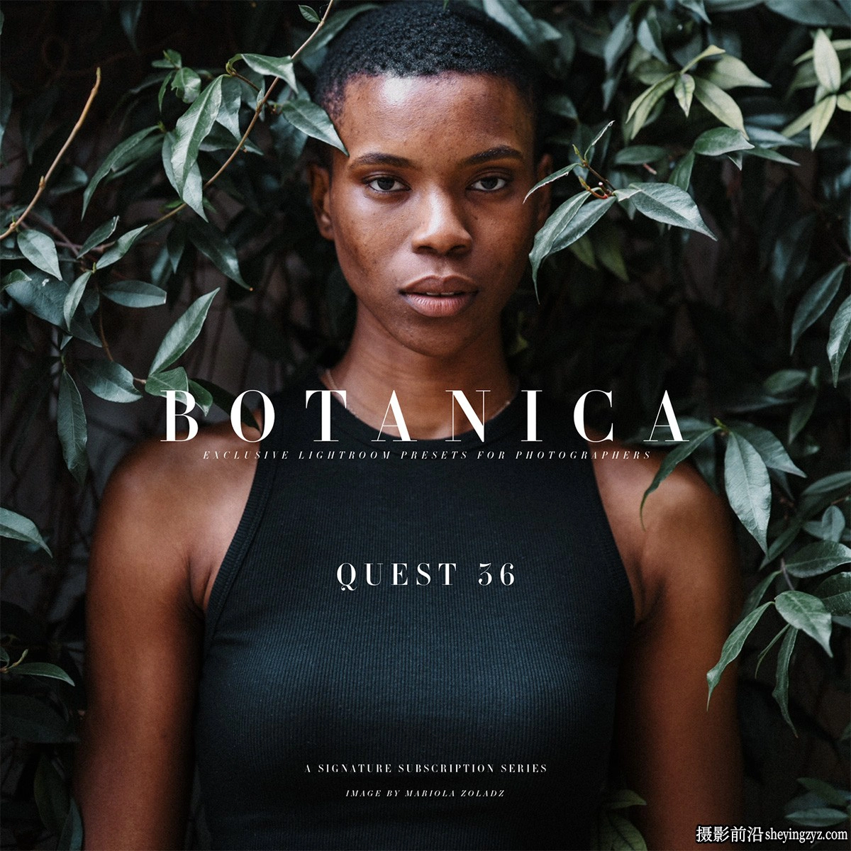 Archipelago Quest系列36充满活力的胶片预设-QUEST 36 - BOTANICA