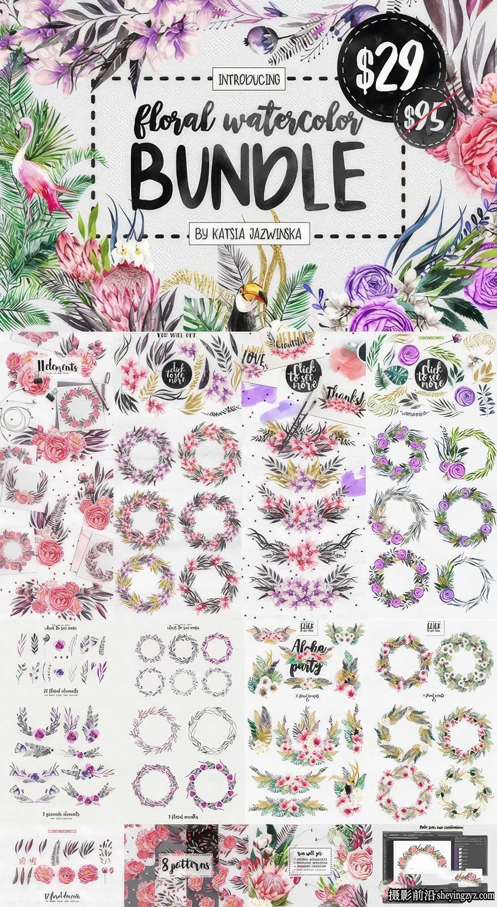 210个水彩花卉花环PNG,PSD元素素材