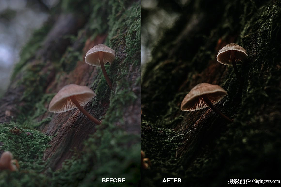 黑暗质感电影风光Lightroom预设Dark Moody Lightroom Presets