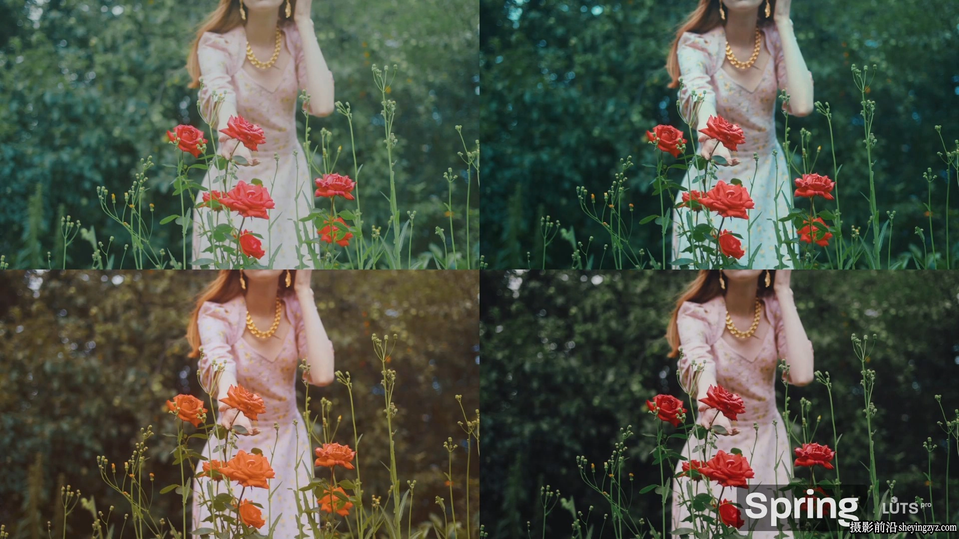 DaVinci Resolve -达芬奇专业色彩评级500LUT预设包 500 LUTs