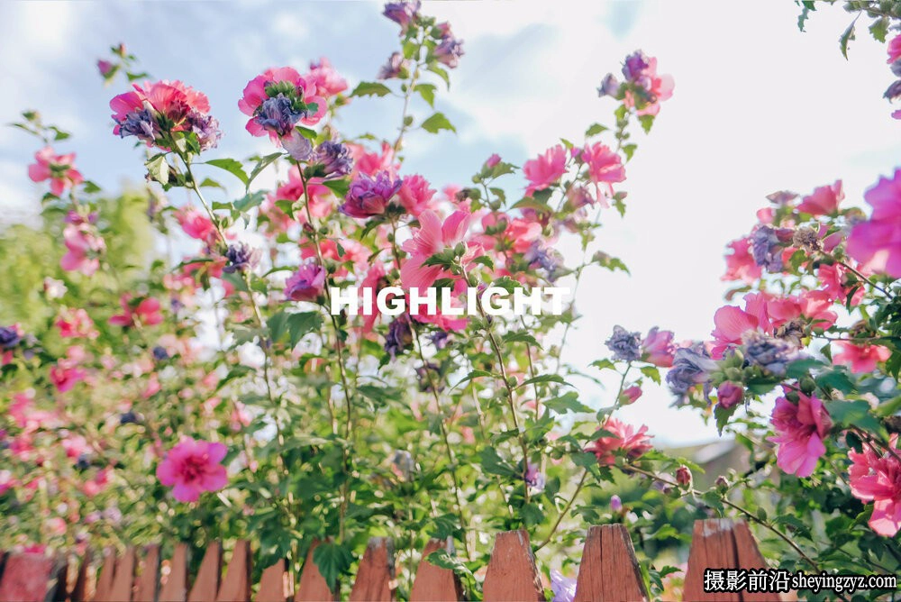 富士电影胶片Lightroom预设ACR预设 Vuhlandes - Fresh Air Presets