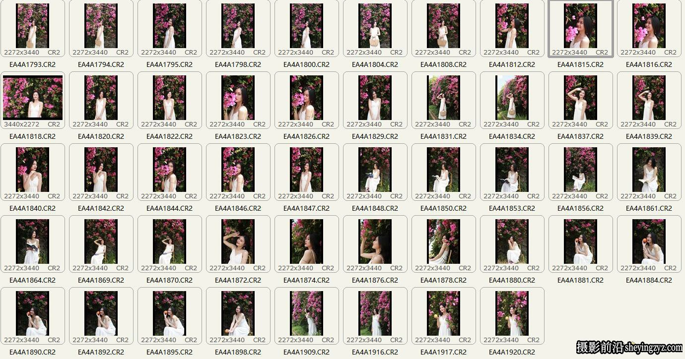 鲜花美女写真人像RAW原图,人像调色练习RAW素材48张