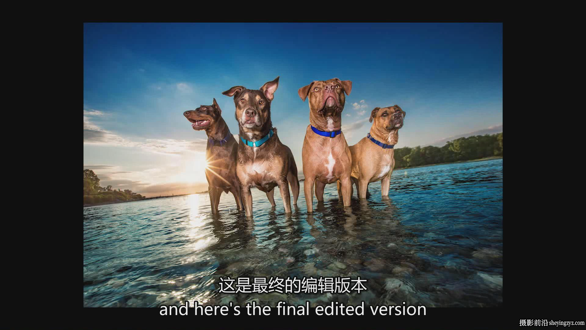 KelbyOne – Kaylee Greer宠物狗创意摄影完整指南教程-中英字幕