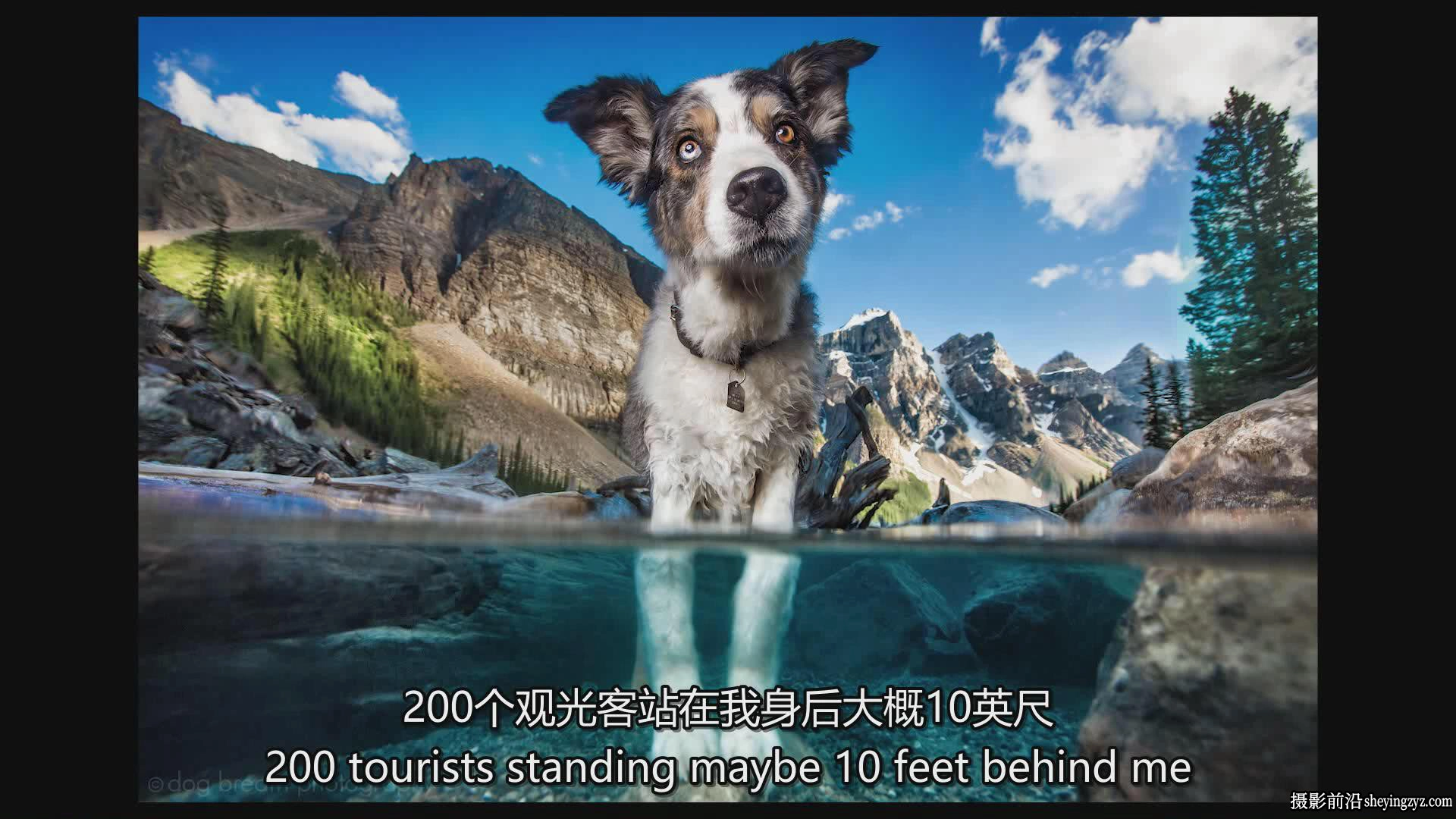 KelbyOne – Kaylee Greer宠物狗创意摄影完整指南教程-中英字幕