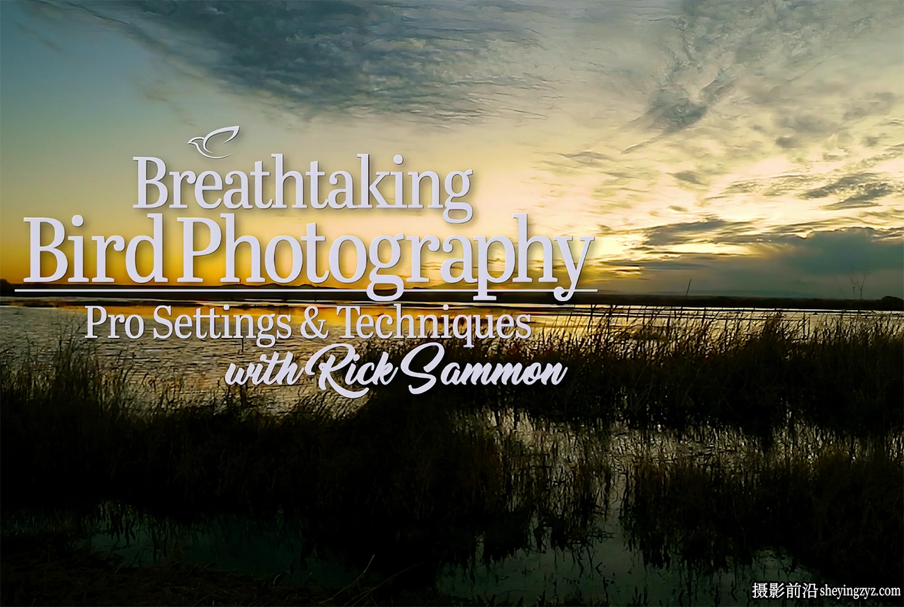 KelbyOne-Rick Sammon拍摄叹为观止的鸟类摄影构图指南教程-中文字幕