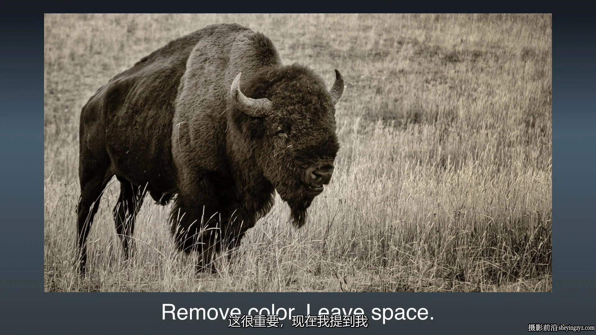 KelbyOne-Rick Sammon黄石公园和大提顿公园风光摄影教程中文字幕
