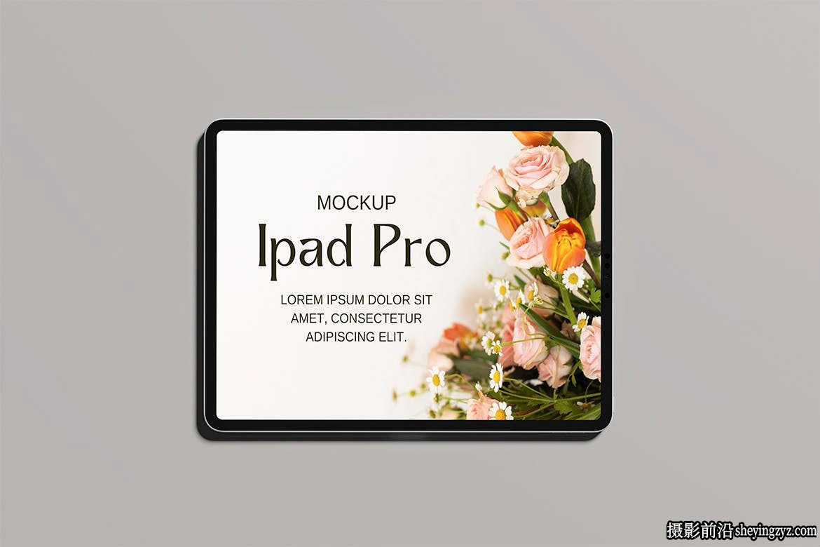免费iPadPro样机平板展示模型