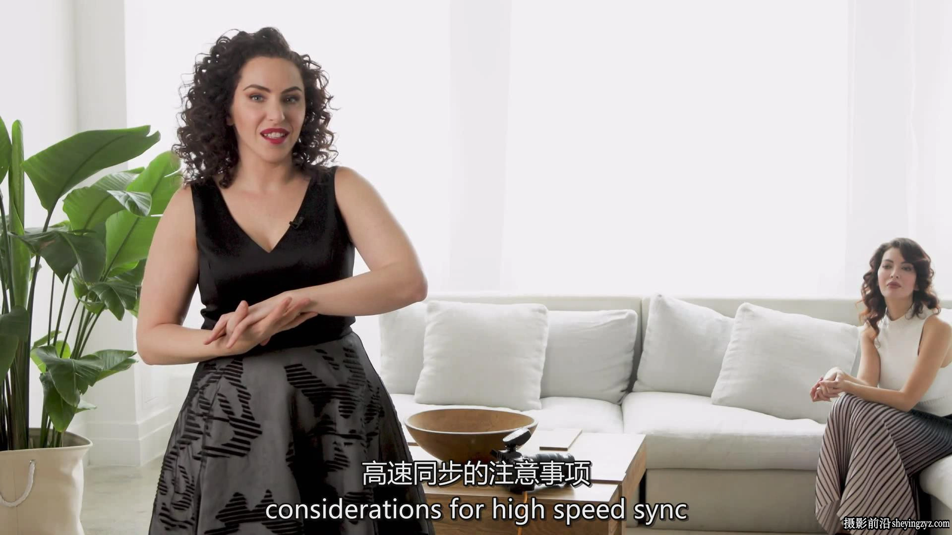 摄影师Lindsay Adler摄影师最赚钱的时尚灯光设置完整教程-中英字幕