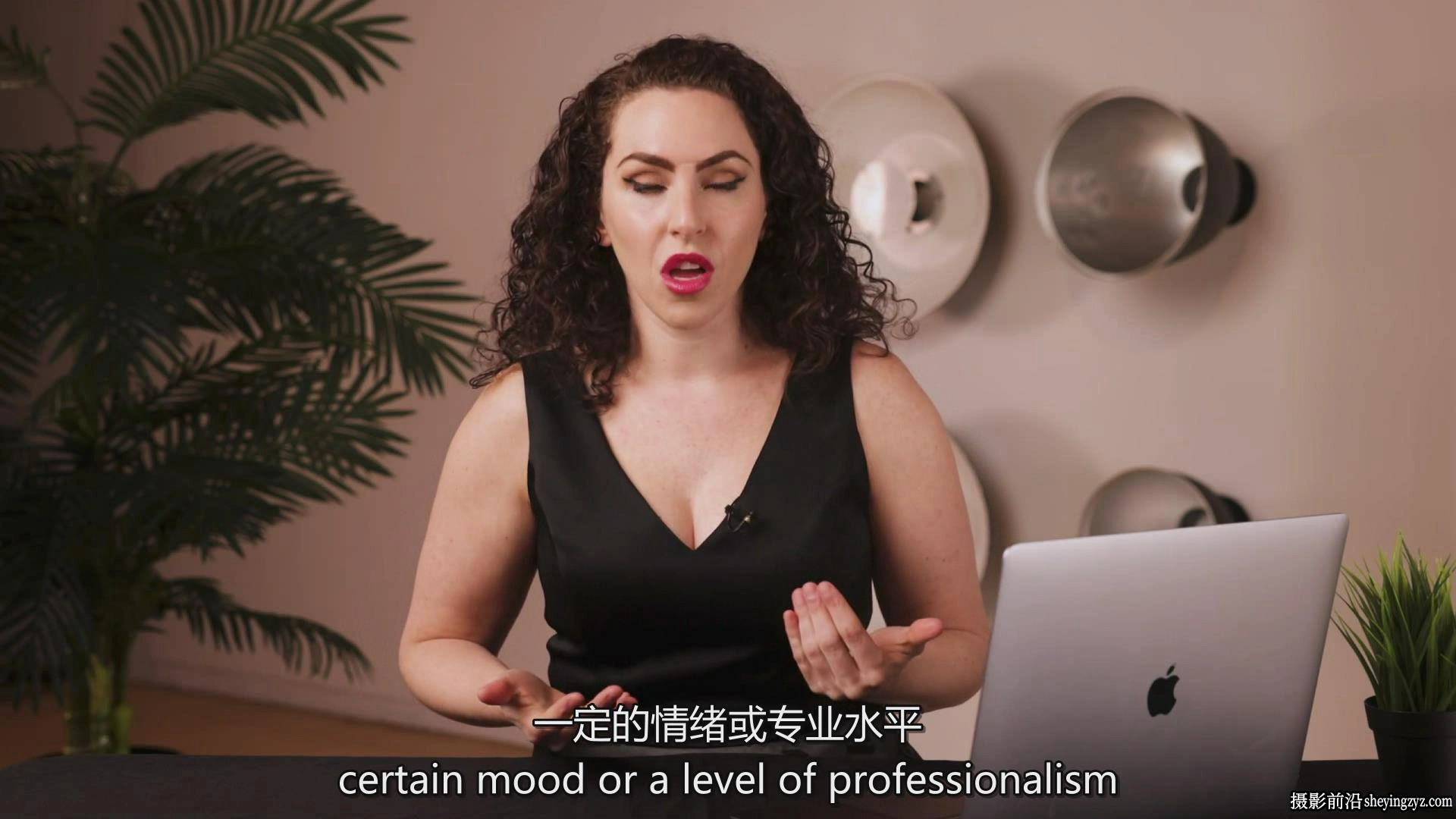 摄影师Lindsay Adler摄影师最赚钱的时尚灯光设置完整教程-中英字幕