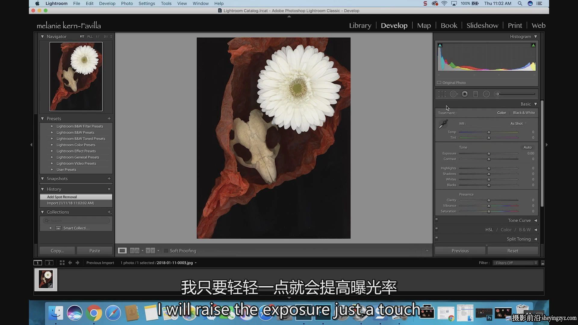 KelbyOne-令人惊叹的花卉植物图像摄影完整指南教程-中英字幕