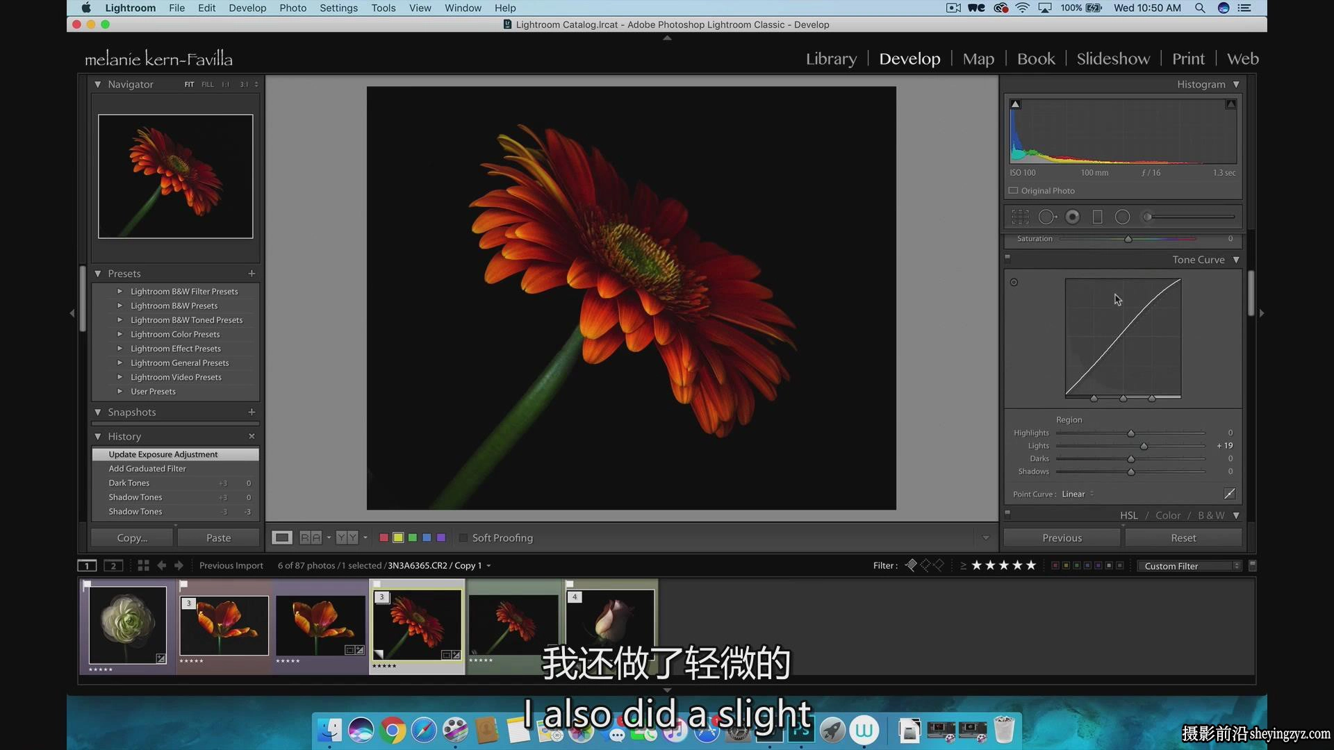 KelbyOne-令人惊叹的花卉植物图像摄影完整指南教程-中英字幕