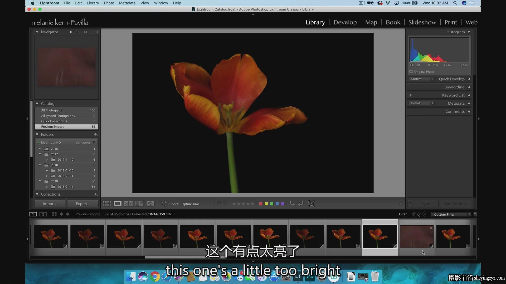 KelbyOne-令人惊叹的花卉植物图像摄影完整指南教程-中英字幕