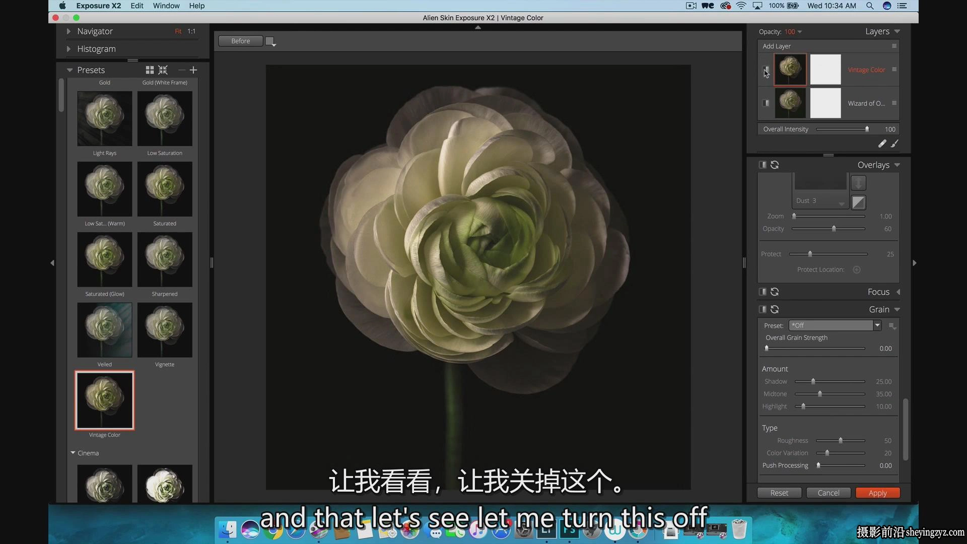KelbyOne-令人惊叹的花卉植物图像摄影完整指南教程-中英字幕