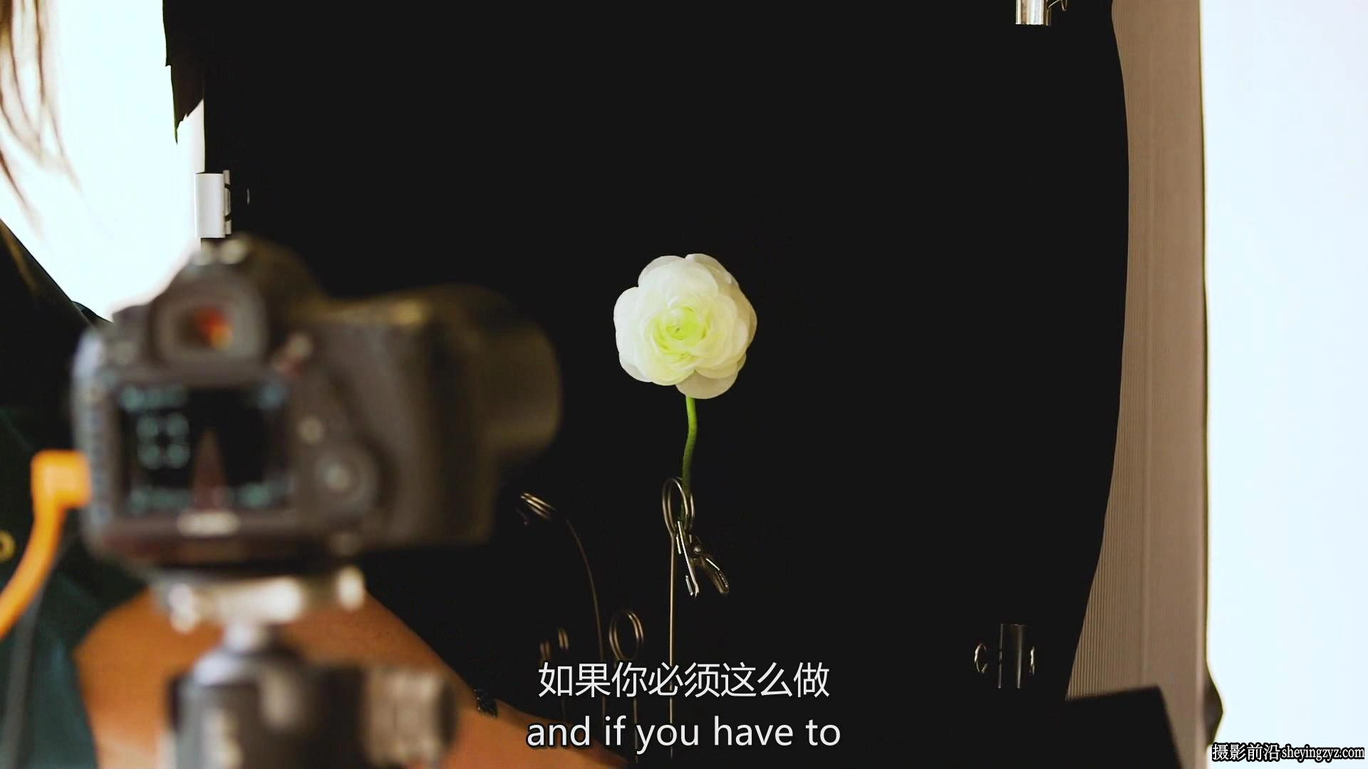 KelbyOne-令人惊叹的花卉植物图像摄影完整指南教程-中英字幕