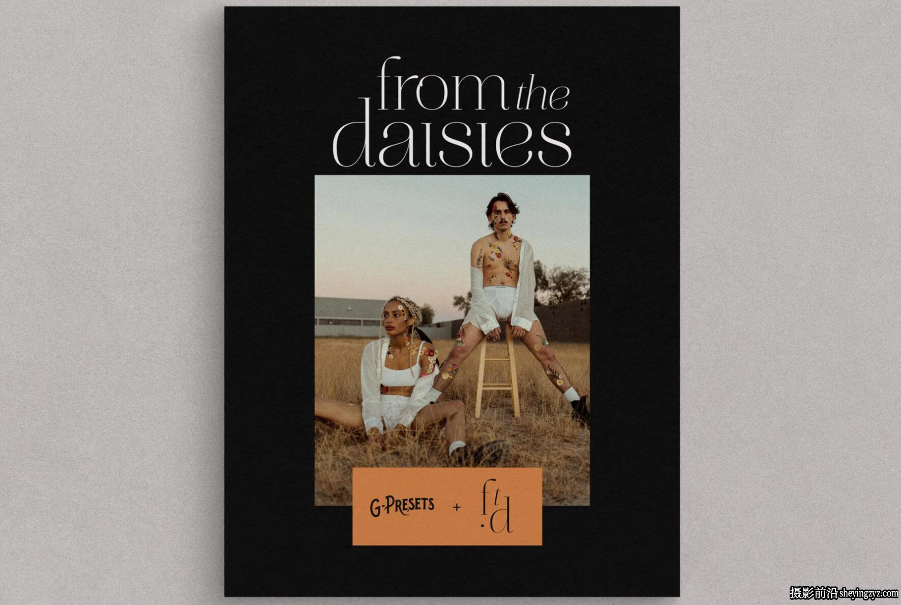 经典电影故事LR预设ACR预设 G-Presets - From the Daisies Presets