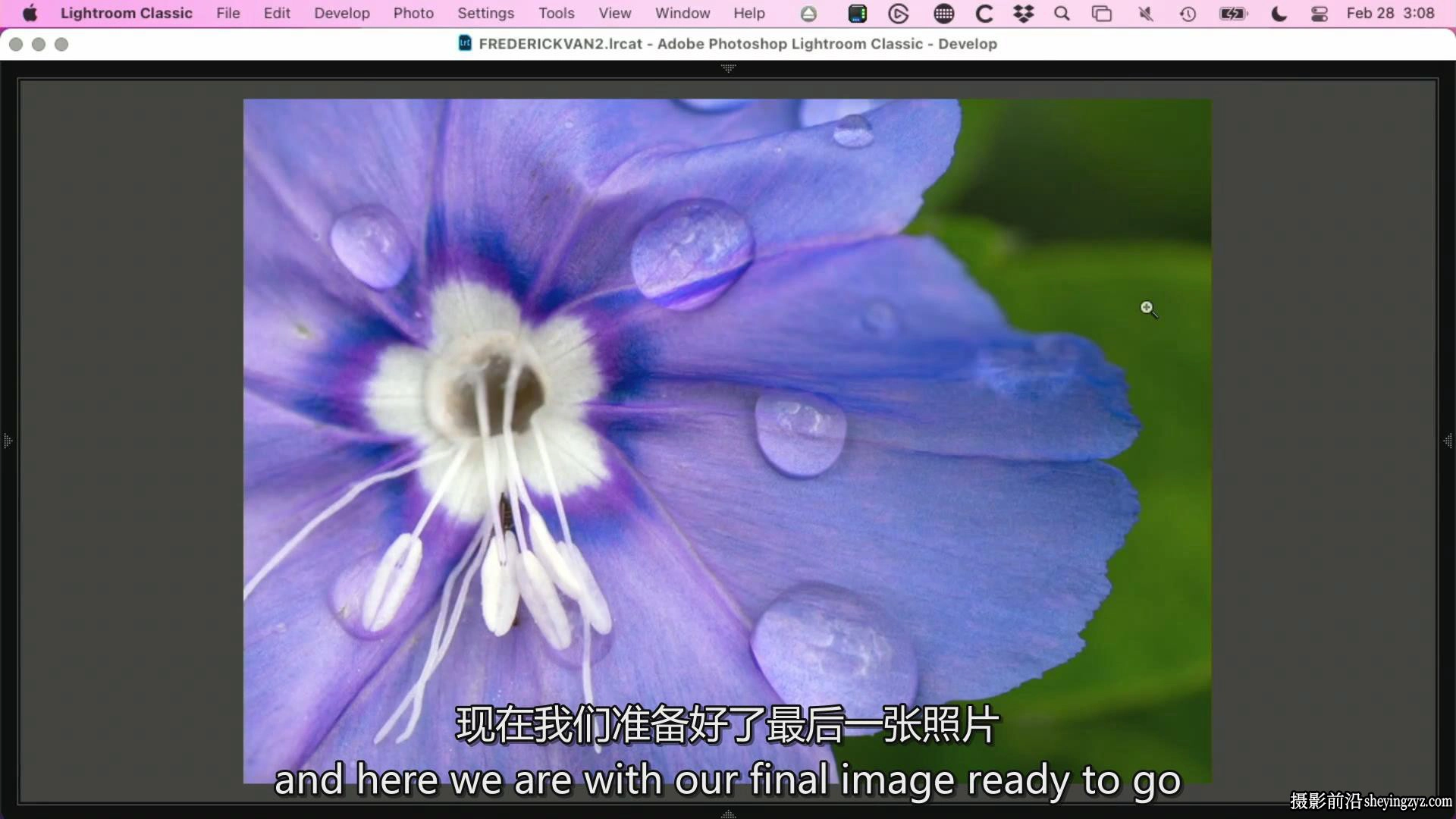 KelbyOne – 从头到尾探索植物微距摄影完整指南教程-中英字幕