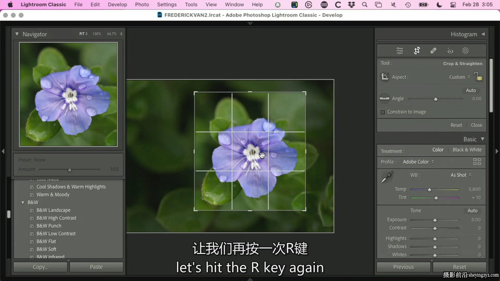 KelbyOne – 从头到尾探索植物微距摄影完整指南教程-中英字幕