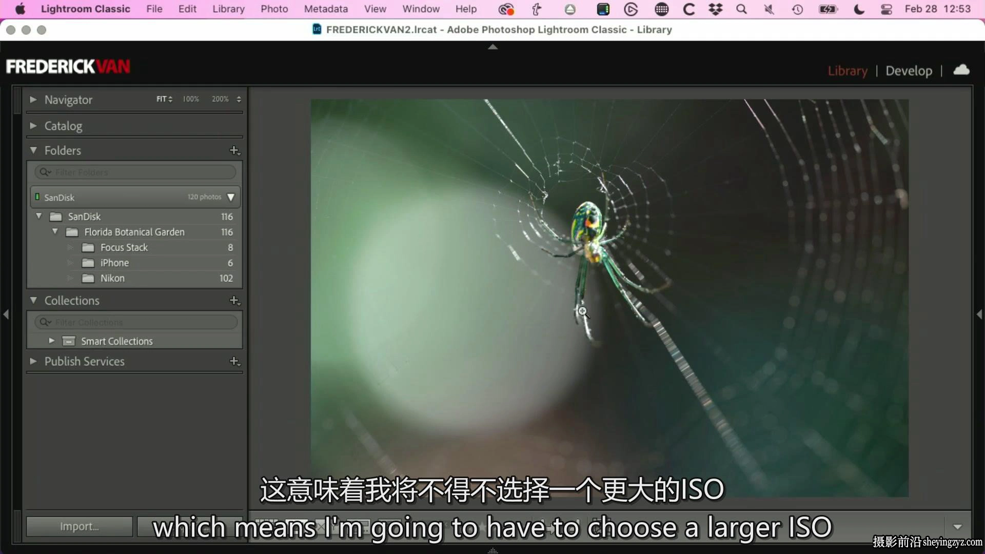 KelbyOne – 从头到尾探索植物微距摄影完整指南教程-中英字幕