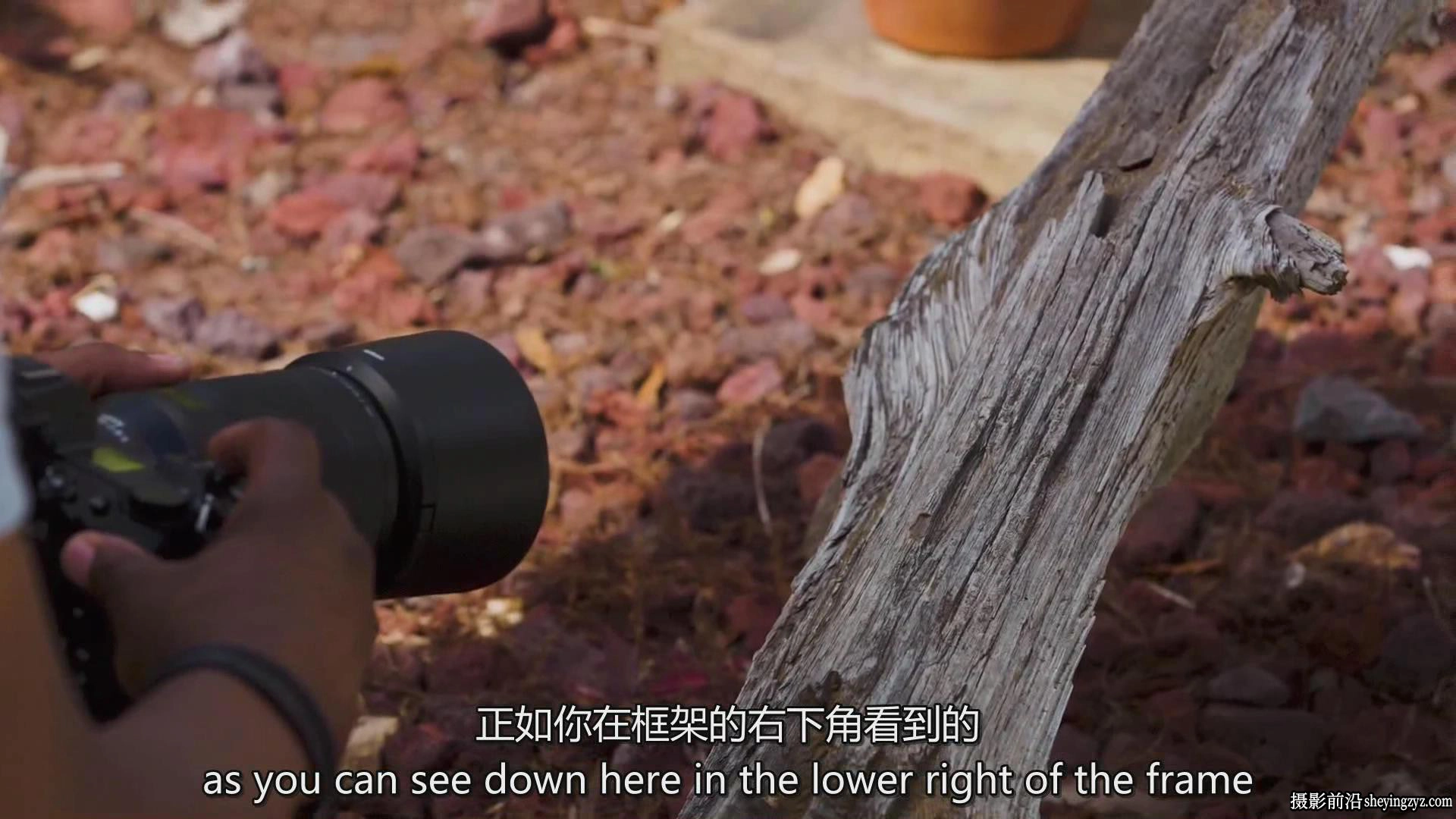 KelbyOne – 从头到尾探索植物微距摄影完整指南教程-中英字幕