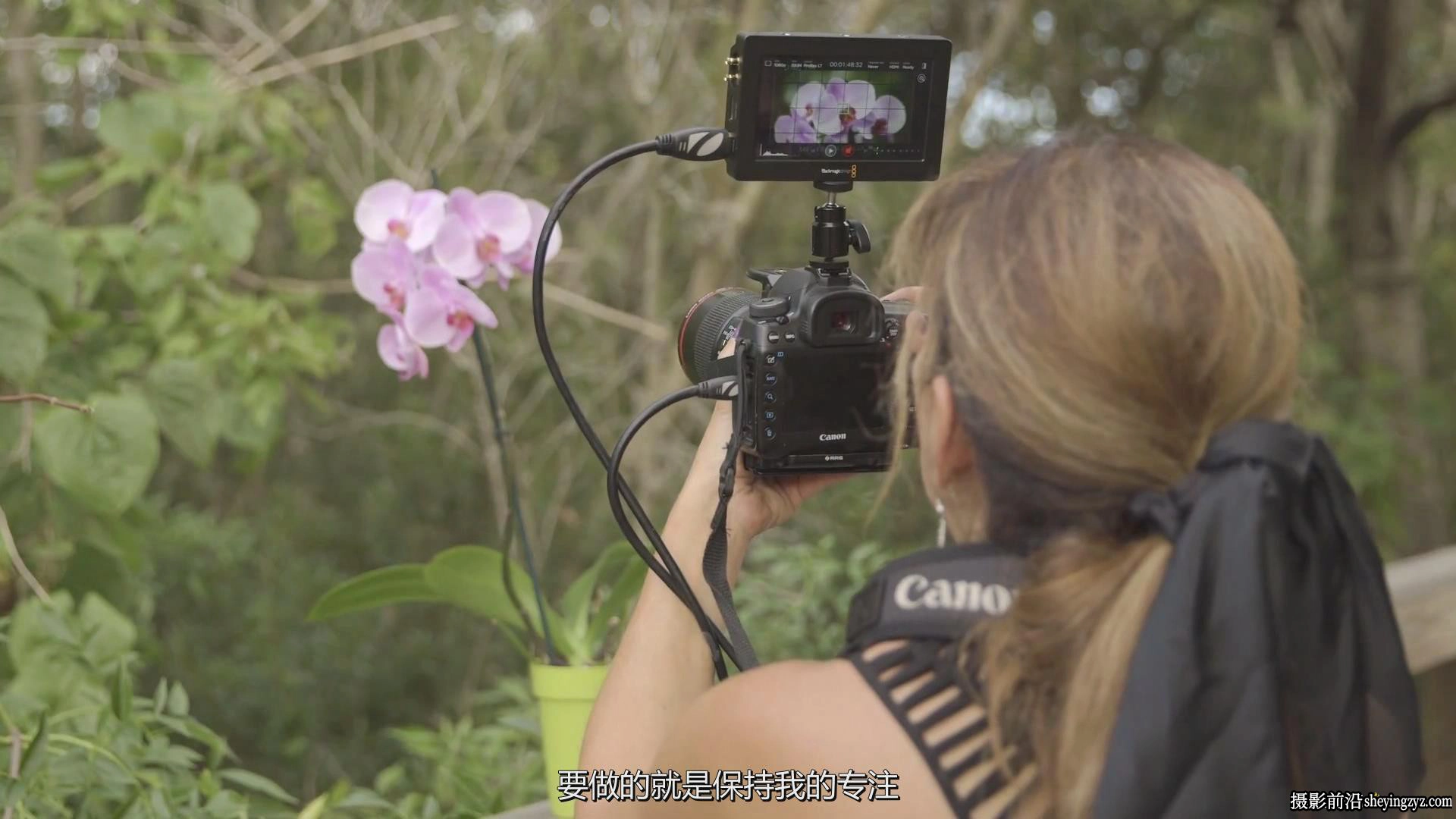 KelbyOne - Jackie Kramer掌握花卉微距艺术摄影教程-中文字幕