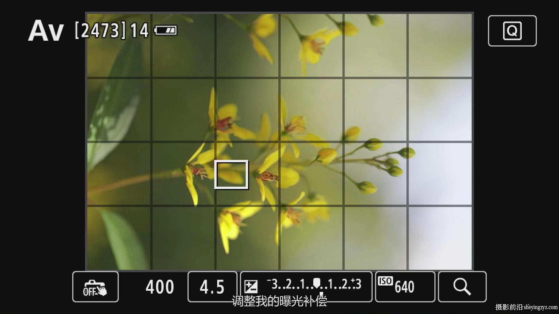 KelbyOne - Jackie Kramer掌握花卉微距艺术摄影教程-中文字幕